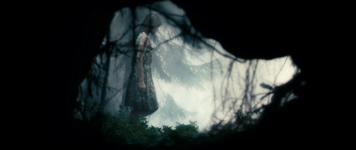 image charlotte gainsbourg antichrist forêt