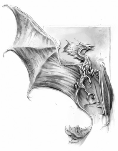 image une histoire naturelle des dragons marie brennan illustration todd lockwood lucion
