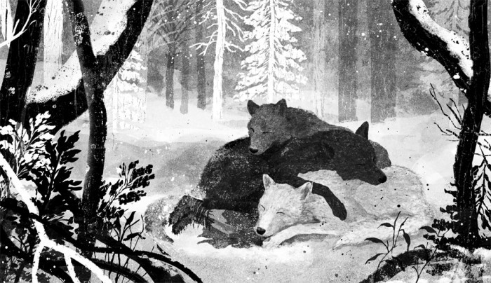 image illustration gelrev ongbico pour coeur de loup loups endormis