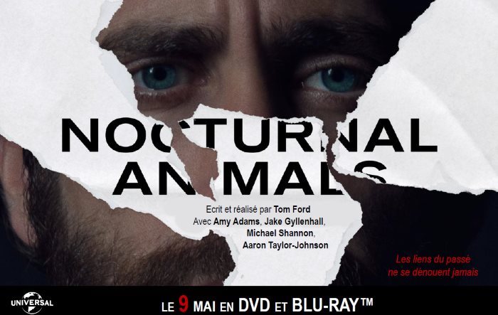image video nocturnal animals
