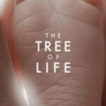 affiche gros plan tree of life de terrence malick