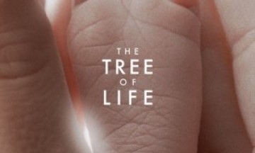 affiche gros plan tree of life de terrence malick