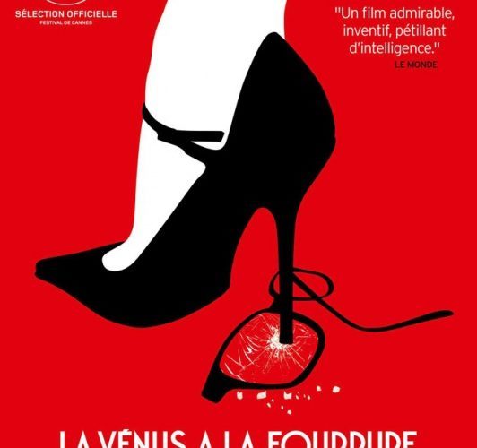 La Vénus à la fourrure de Roman Polanski (2013) : critique du film
  