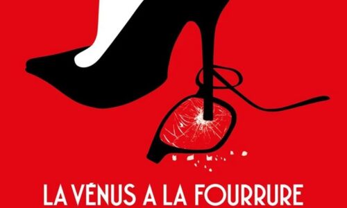 La Vénus à la fourrure de Roman Polanski (2013) : critique du film