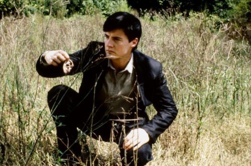 image jeffrey beaumont kyle maclachlan champs oreille coupée blue velvet david lynch