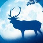 image critique film les saisons