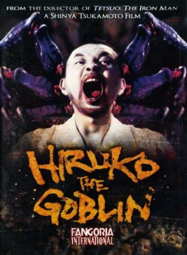 image affiche hiroku the goblin