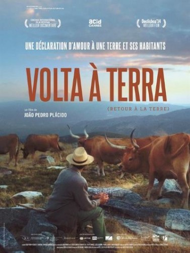 image affiche volta a terra