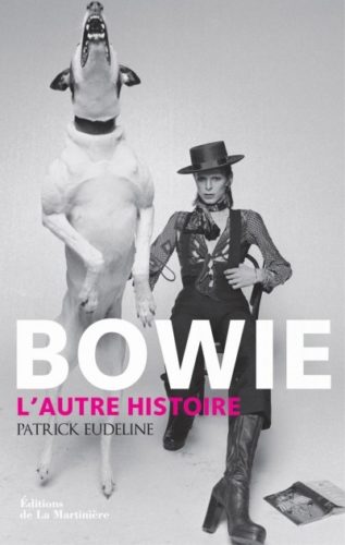 image couverture bowie l'autre histoire patrick eudeline éditions de la martinière