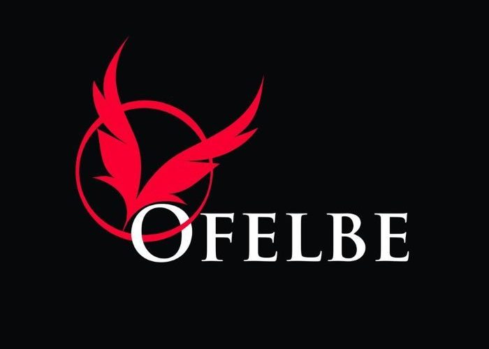 [Découverte] Ofelbe, la voix du light novel en France
  