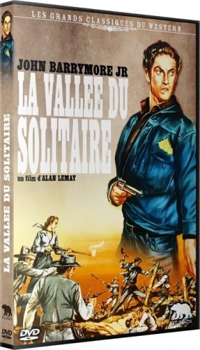 image dvd la vallée du solitaire