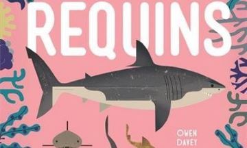 [Critique] Requins – Owen Davey
  