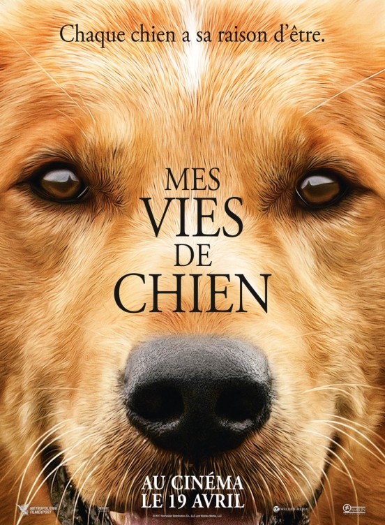 [News – Cinéma] Bande-annonce de “Mes vies de Chien” de Lasse Hallström, sortie le 19 Avril
  