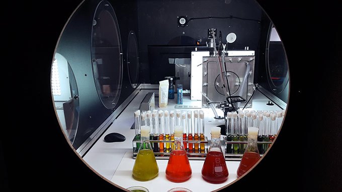 image laboratoire plancton microalgues exposition cyclops explorateur de l'océan aquarium tropical de la porte dorée paris