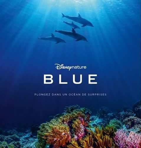 [Cinéma] Blue, le nouveau Disneynature se dévoile dans un premier trailer
  