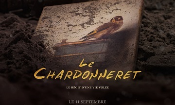 [Cinéma] Le Chardonneret: le nouveau trailer
  