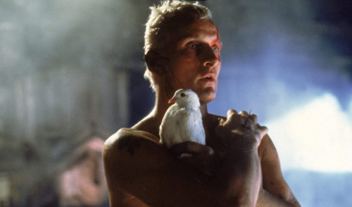 Le replicant Roy Batty (Rutger Hauer) tenant une colombe dans le film "Blade Runner"