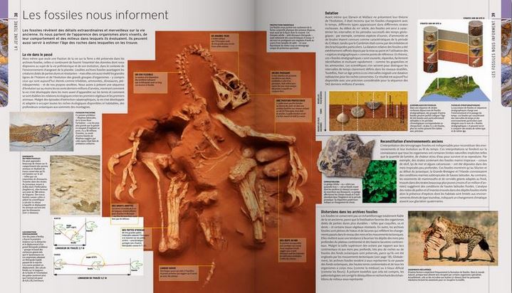 "Les fossiles nous informent", pages extraites de "L'Encyclopédie visuelle de la vie préhistorique"
