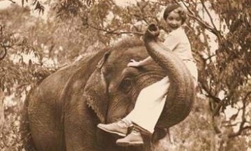 [Critique] L’amour au temps des éléphants – Ariane Bois
  