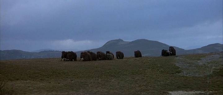 Des mammouths dans La Guerre du feu (en vérité, des éléphants déguisés dans la montagne écossaise !).