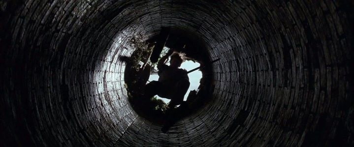 Comme Alice est tombée dans un terrier, Bruce a découvert un monde inconnu (celui de l'inconscient?) en tombant dans un puits dans Batman Begins.