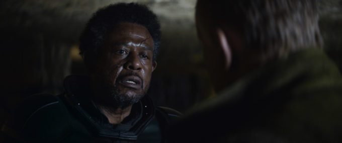 image forest whitaker andor