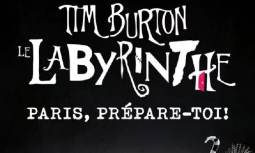 image slider le labyrinthe tim burton