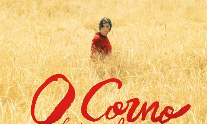 O Corno, Une Histoire de Femmes : Une solidarité féminine
  