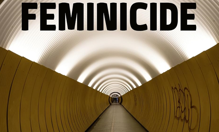 [Critique] Féminicide – Pascal Engman
  