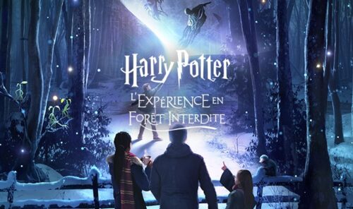 image slider l expérience interdite en foret harry potter