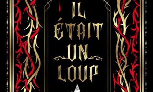 image slider il était un loup