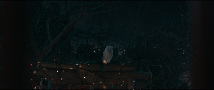 la chouette blanche dans bridget jones folle de lui