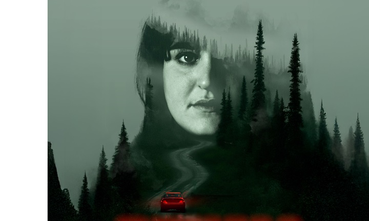 [Critique] Denali – Un formidable thriller policier, entre théâtre et série télévisée
  