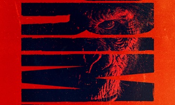 image article primate