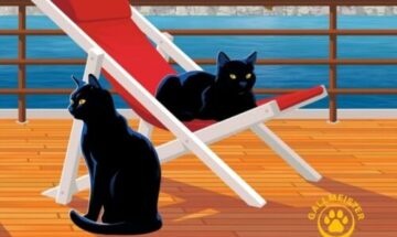 image slider si les chats pouvaient parler
