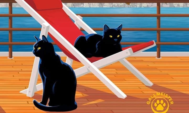 image slider si les chats pouvaient parler