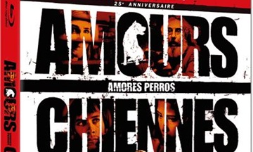 image article blu ray 4k amours chiennes
