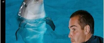 image article blu ray 4k le grand bleu