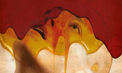 image slider bugonia