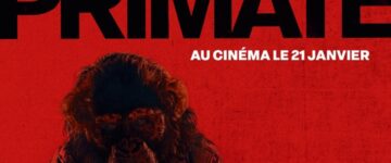 image slider primate