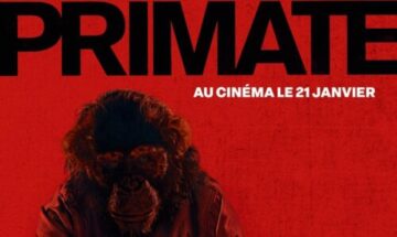 image slider primate