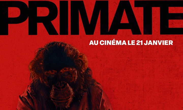 [Critique] Primate&nbsp;: Un chimpanzé qui mord… mais pas assez longtemps
  