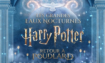 image article harry potter