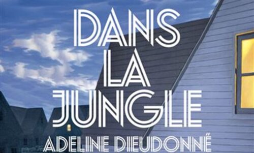 image slider dans la jungle