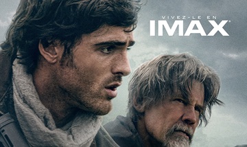 image article the dog stars