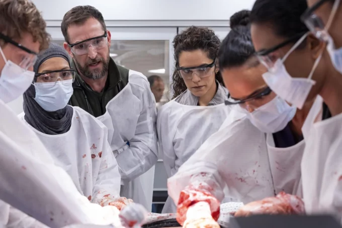 image noah wyle the pitt