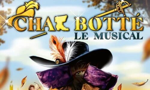 image slider musicale chat botte