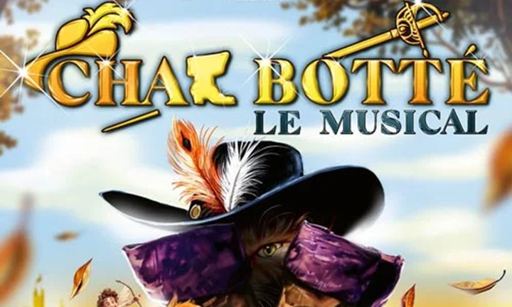 image slider musicale chat botte