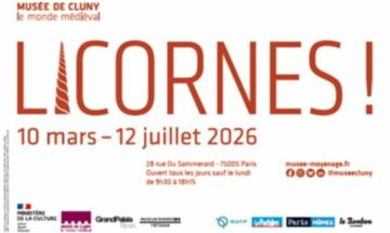 image slider licornes
