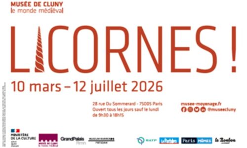 image slider licornes